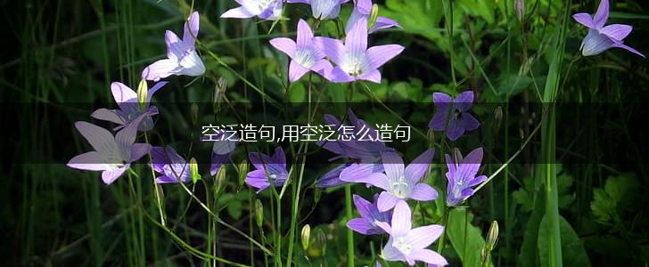 空泛造句,用空泛怎么造句,第1张 空泛造句,用空泛怎么造句,第1张