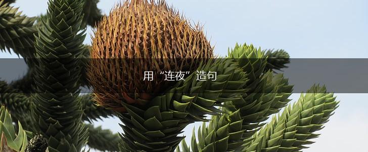 用“连夜”造句,第1张 用“连夜”造句,第1张