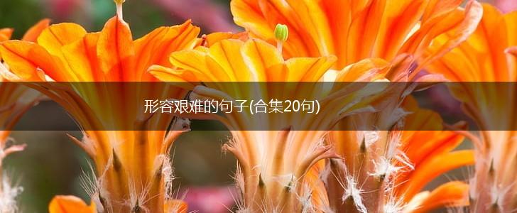 形容艰难的句子(合集20句),第1张
