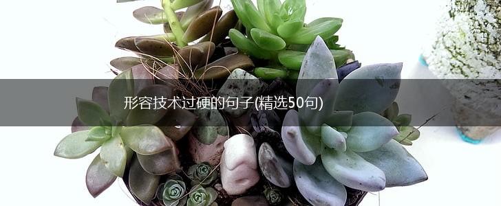 形容技术过硬的句子(精选50句),第1张