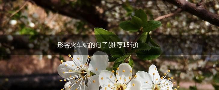 形容火车站的句子(推荐15句),第1张