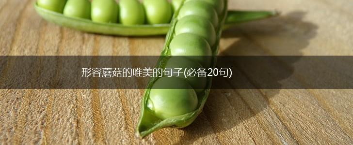 形容蘑菇的唯美的句子(必备20句),第1张