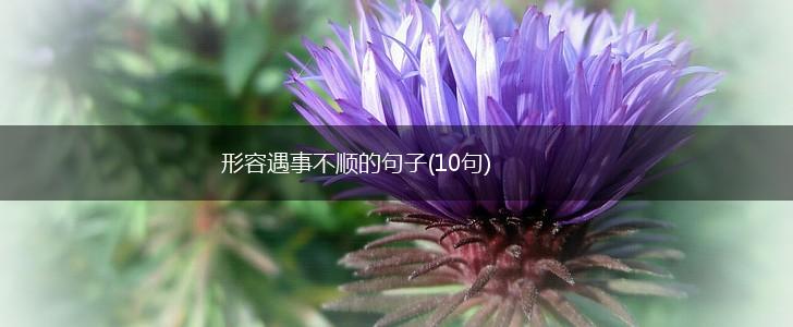 形容遇事不顺的句子(10句),第1张