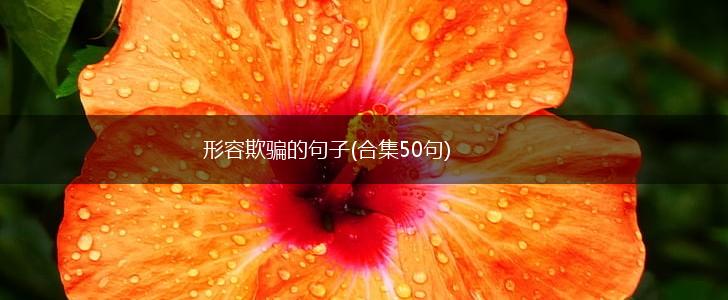 形容欺骗的句子(合集50句),第1张