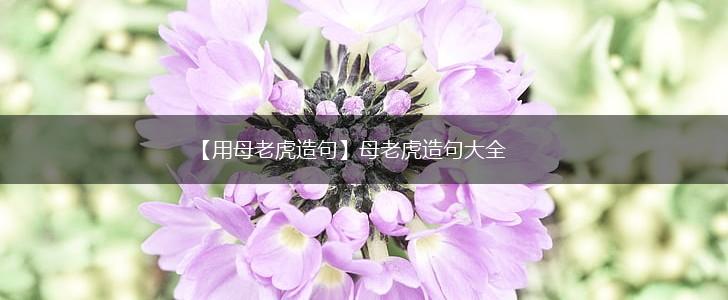 【用母老虎造句】母老虎造句大全,第1张 【用母老虎造句】母老虎造句大全,第1张