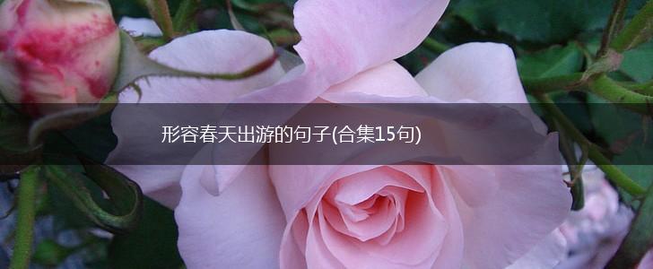 形容春天出游的句子(合集15句),第1张