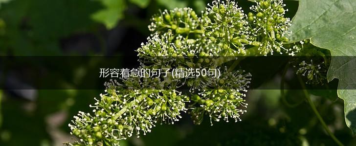 形容着急的句子(精选50句),第1张