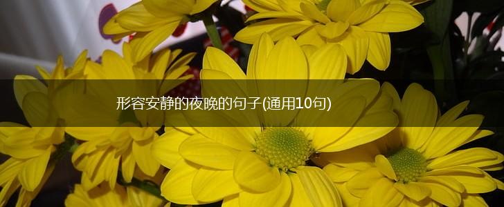 形容安静的夜晚的句子(通用10句),第1张