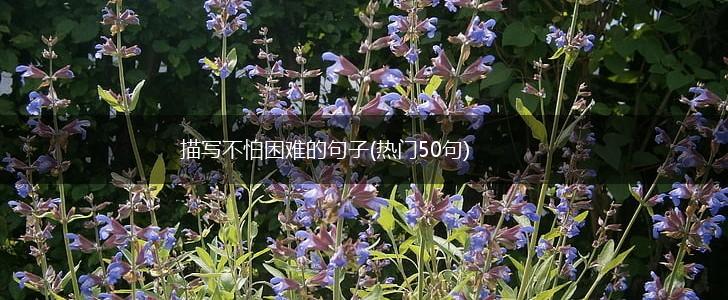 描写不怕困难的句子(热门50句),第1张