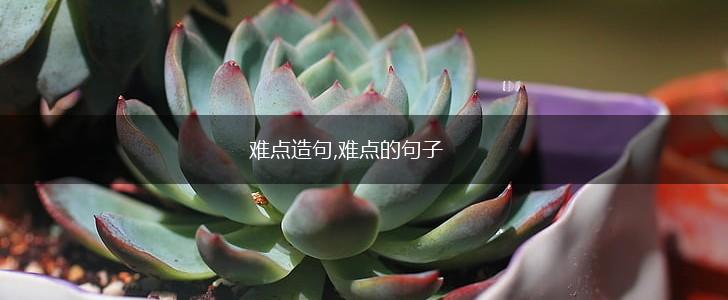 难点造句,难点的句子,第1张