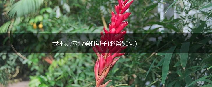 我不说你也懂的句子(必备50句),第1张