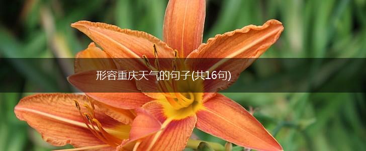 形容重庆天气的句子(共16句),第1张