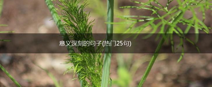 意义深刻的句子(热门25句),第1张
