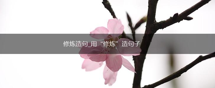 修炼造句_用“修炼”造句子,第1张 修炼造句_用“修炼”造句子,第1张