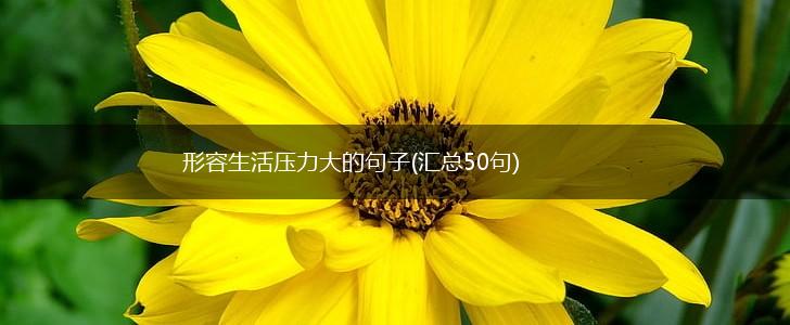 形容生活压力大的句子(汇总50句),第1张