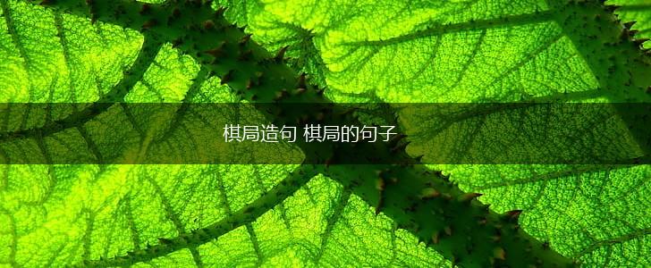 棋局造句 棋局的句子,第1张