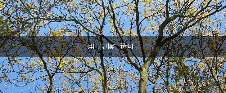 用“显摆”造句,第1张 用“显摆”造句,第1张