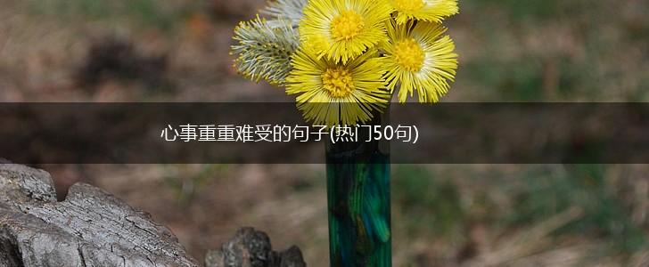 心事重重难受的句子(热门50句),第1张
