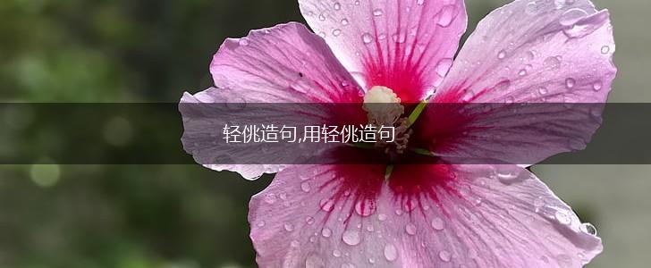 轻佻造句,用轻佻造句,第1张