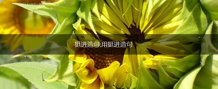 挺进造句,用挺进造句,第1张 挺进造句,用挺进造句,第1张