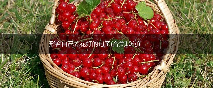 形容自己养花好的句子(合集10句),第1张