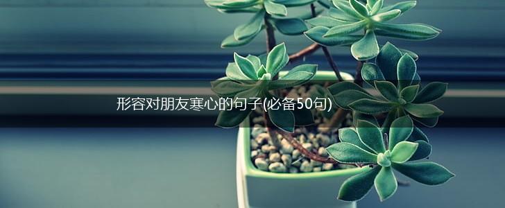 形容对朋友寒心的句子(必备50句),第1张