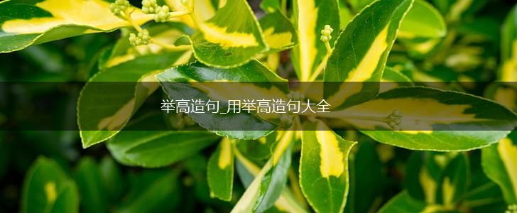 举高造句_用举高造句大全,第1张 举高造句_用举高造句大全,第1张