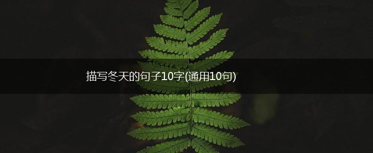 描写冬天的句子10字(通用10句),第1张