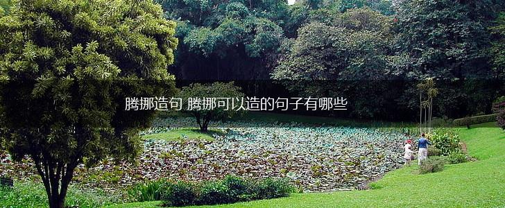 腾挪造句 腾挪可以造的句子有哪些,第1张