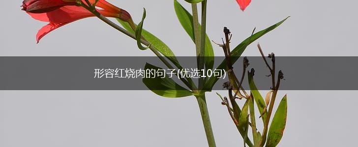 形容红烧肉的句子(优选10句),第1张