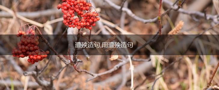 遭殃造句,用遭殃造句,第1张 遭殃造句,用遭殃造句,第1张