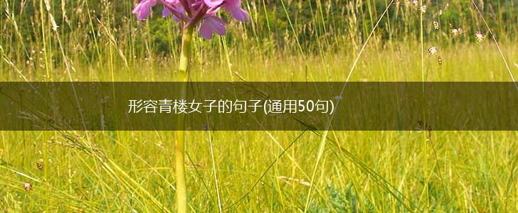 形容青楼女子的句子(通用50句),第1张