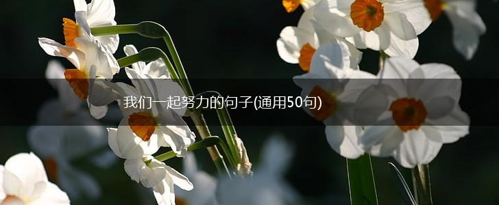 我们一起努力的句子(通用50句),第1张
