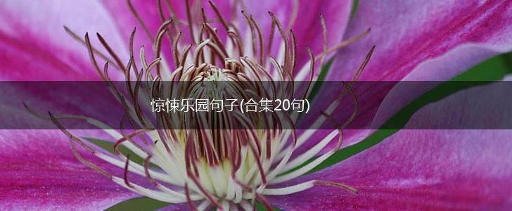 惊悚乐园句子(合集20句),第1张