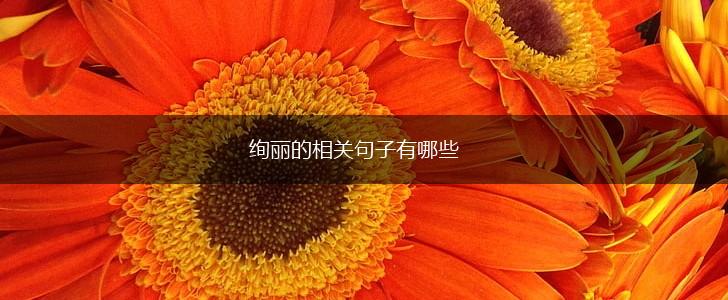 绚丽的相关句子有哪些,第1张 绚丽的相关句子有哪些,第1张