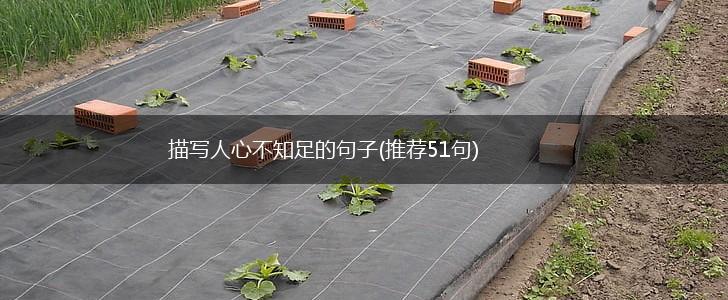 描写人心不知足的句子(推荐51句),第1张