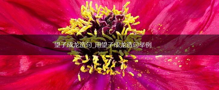 望子成龙造句_用望子成龙造句举例,第1张 望子成龙造句_用望子成龙造句举例,第1张