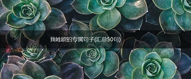我姓欧的专属句子(汇总50句),第1张