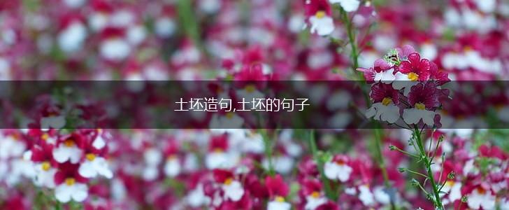 土坯造句,土坯的句子,第1张 土坯造句,土坯的句子,第1张