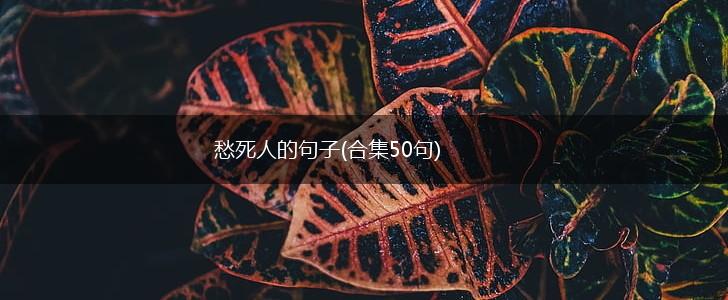 愁死人的句子(合集50句),第1张