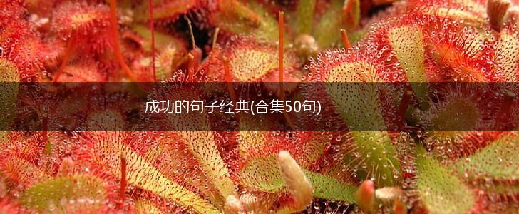 成功的句子经典(合集50句),第1张