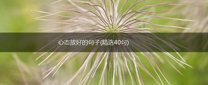 心态放好的句子(精选40句),第1张