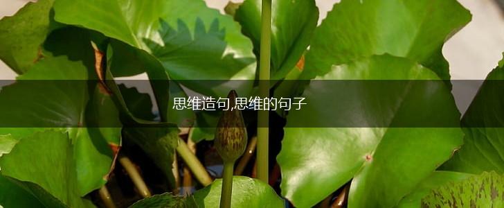 思维造句,思维的句子,第1张