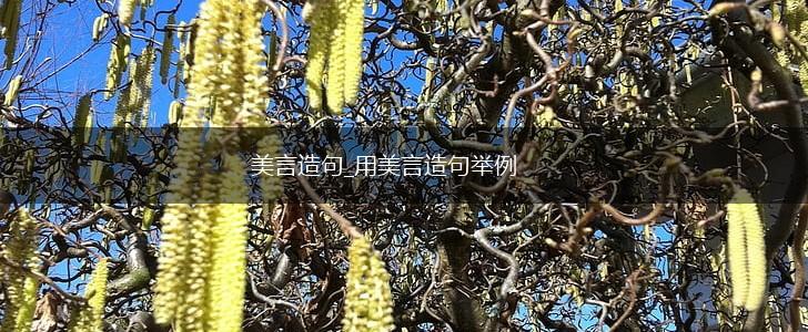 美言造句_用美言造句举例,第1张 美言造句_用美言造句举例,第1张