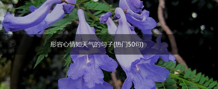 形容心情如天气的句子(热门50句),第1张