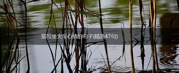 描写坐火车心情的句子(精选47句),第1张