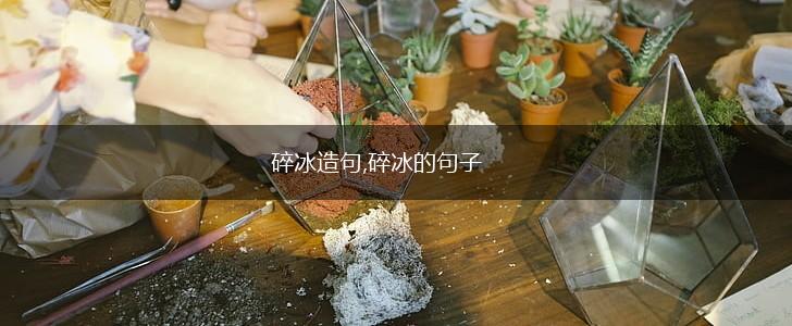 碎冰造句,碎冰的句子,第1张