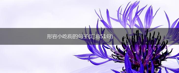 形容小吃街的句子(汇总51句),第1张