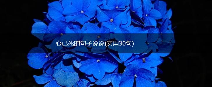 心已死的句子说说(实用30句),第1张