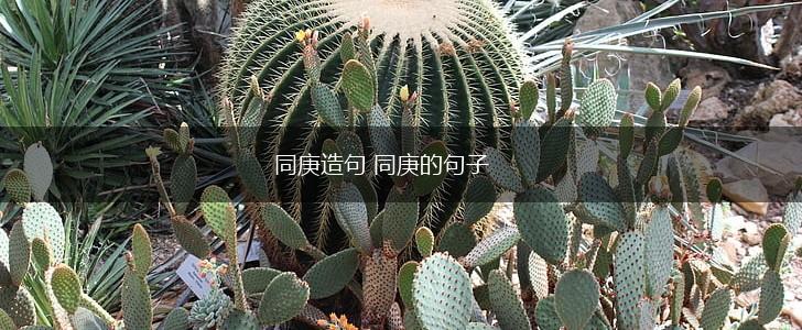 同庚造句 同庚的句子,第1张 同庚造句 同庚的句子,第1张